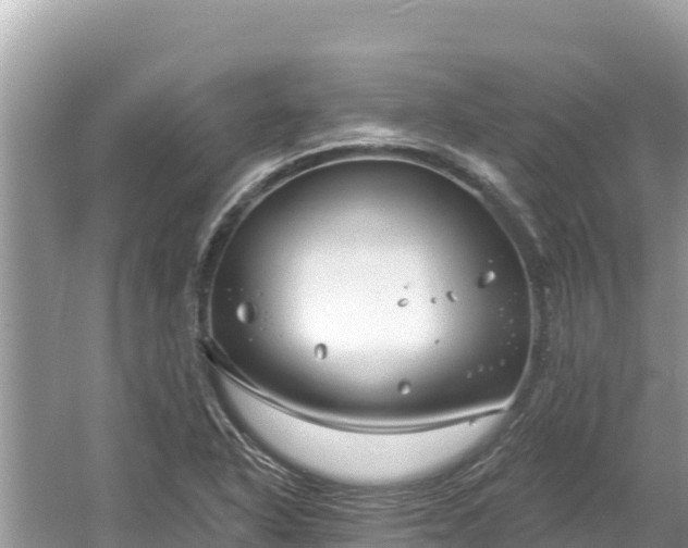 X0000061731318200512050923