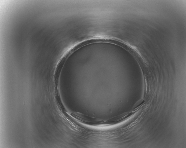 X0000061731319200512050923