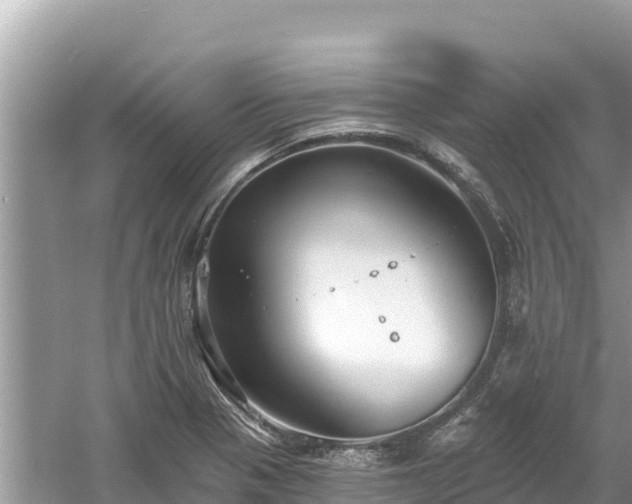 X0000061731321200512050923