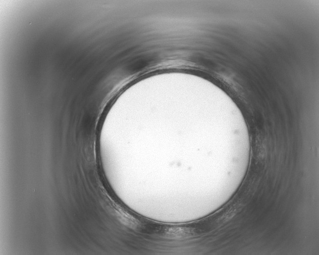 X0000061731322200512050923