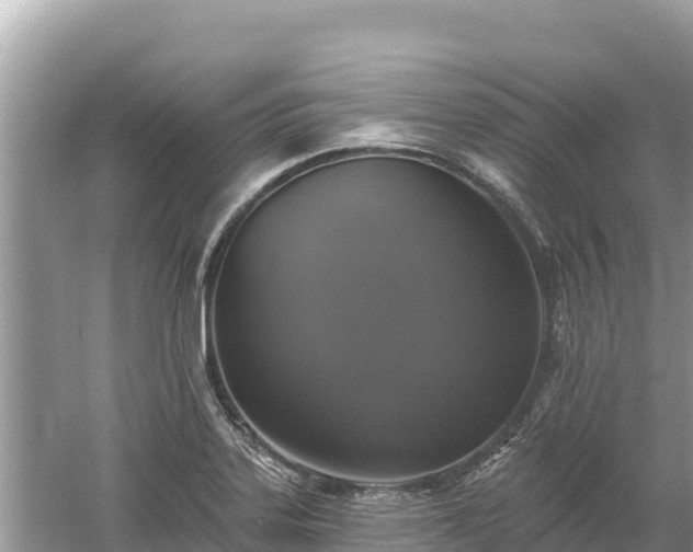 X0000061731323200512050923