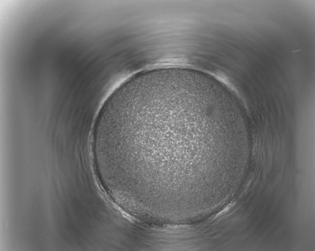 X0000061731325200512050923