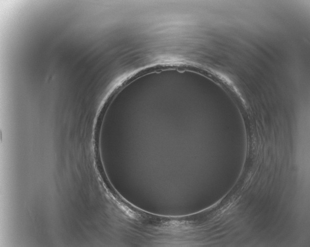 X0000061731327200512050923