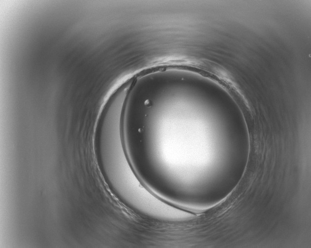 X0000061731328200512050923