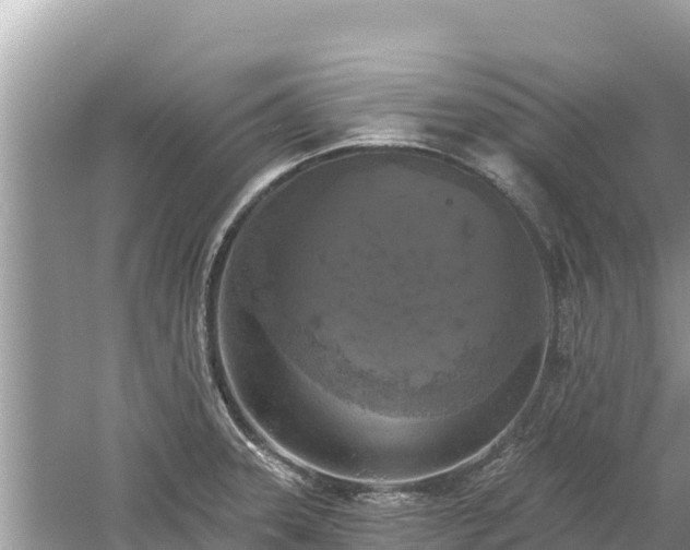 X0000061731331200512050923