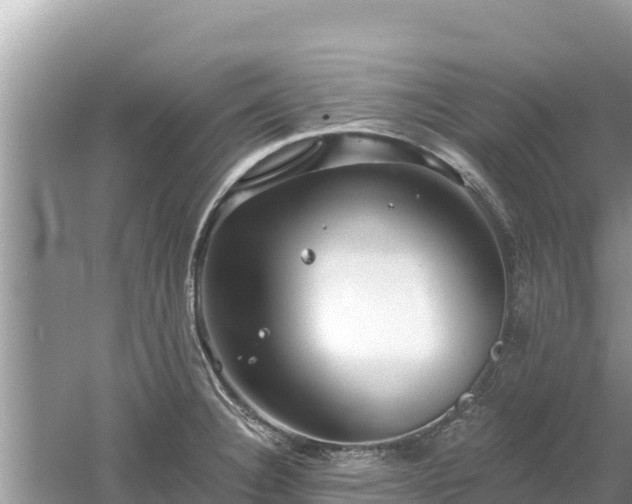 X0000061731332200512050923