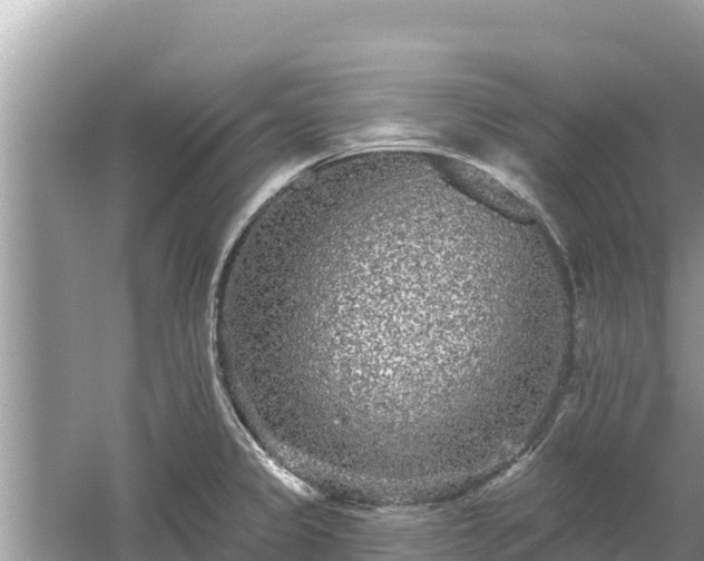 X0000061731333200512050923