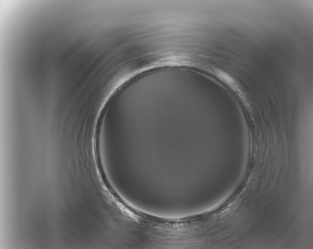 X0000061731334200512050923