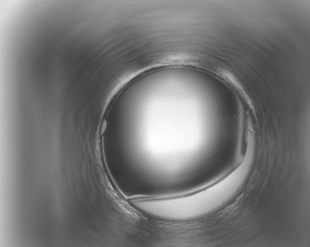 X0000061731336200512050923