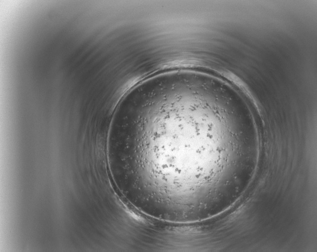 X0000061731337200512050923