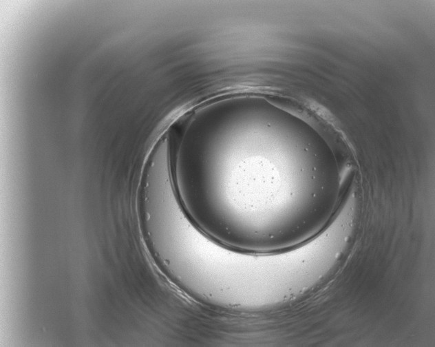 X0000061731338200512050923