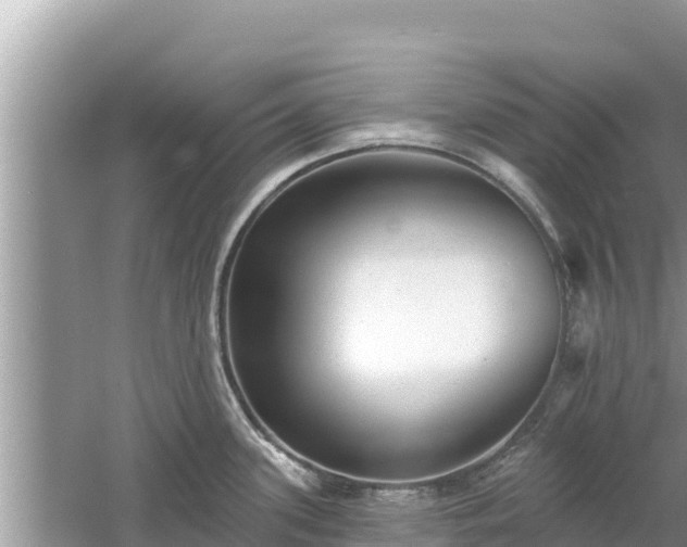 X0000061731339200512050923