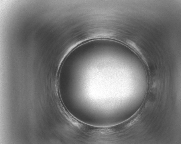 X0000061731340200512050923