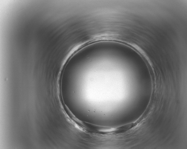 X0000061731341200512050923