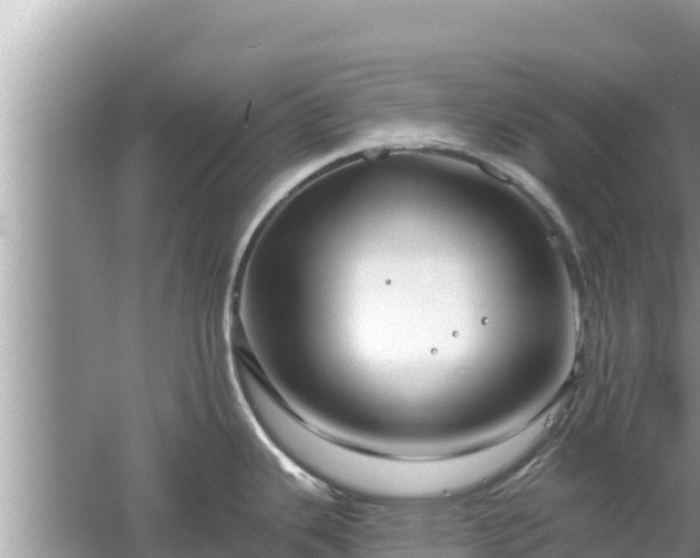 X0000061731343200512050923