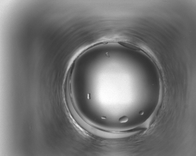 X0000061731344200512050923