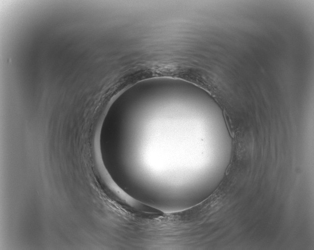 X0000061731345200512050922