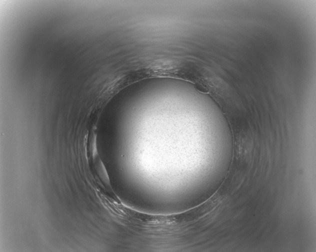 X0000061731346200512050922