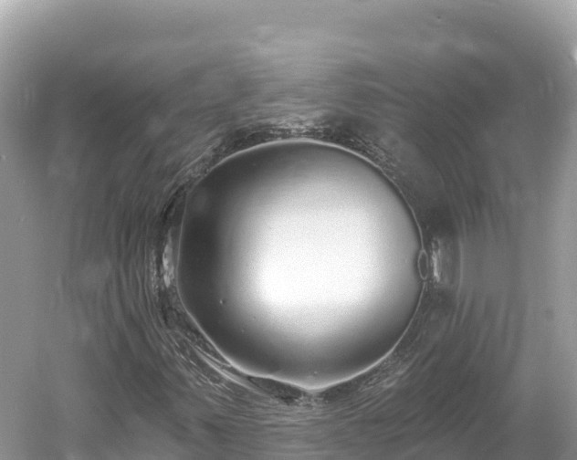 X0000061731347200512050922