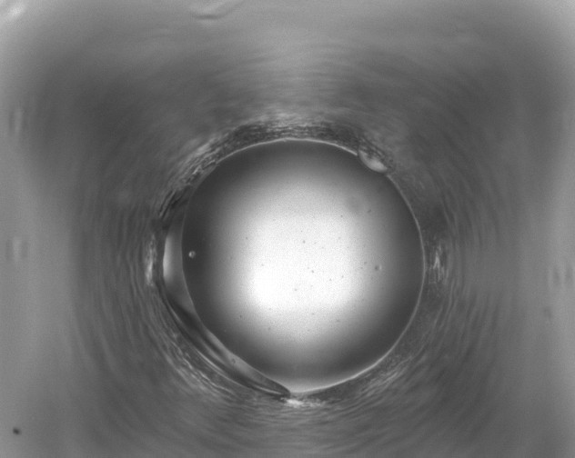 X0000061731348200512050922