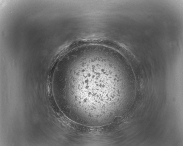 X0000061731350200512050922