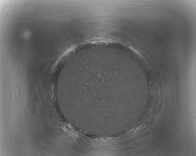 X0000061731351200512050922