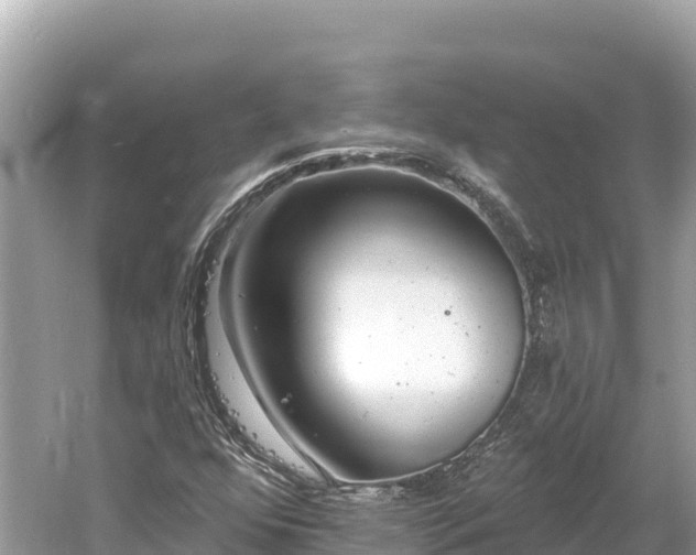 X0000061731352200512050922