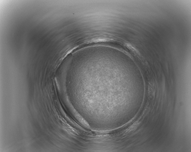 X0000061731353200512050922