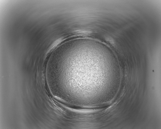 X0000061731354200512050922