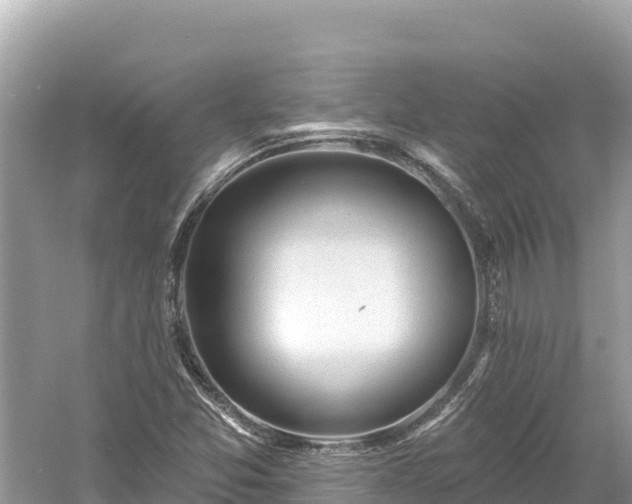 X0000061731357200512050922