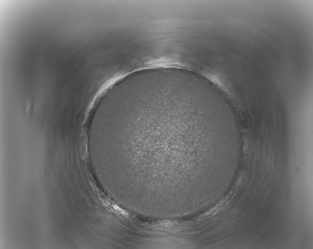 X0000061731358200512050922