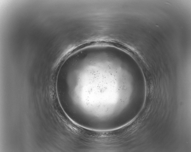 X0000061731359200512050922