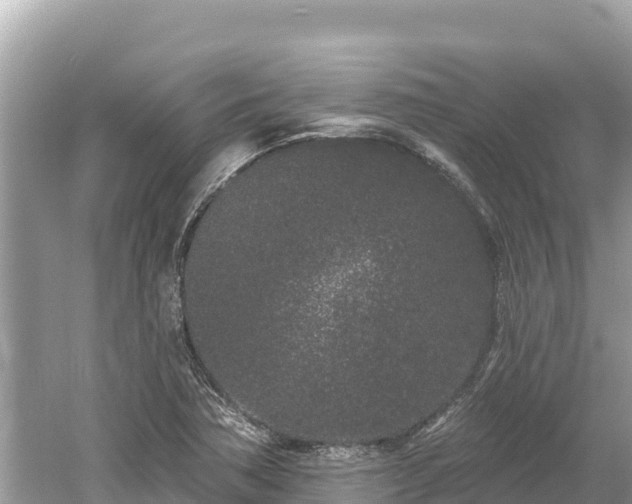 X0000061731362200512050922