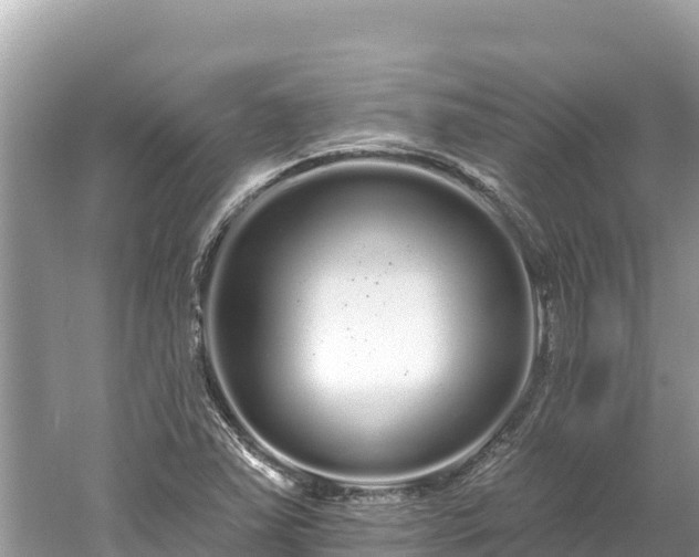 X0000061731363200512050922