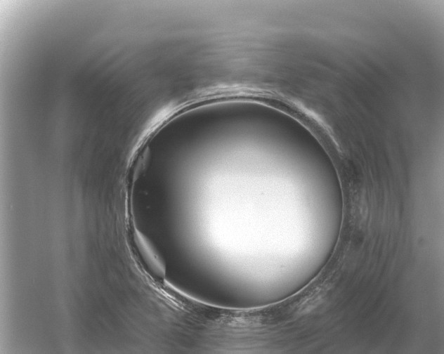 X0000061731365200512050922