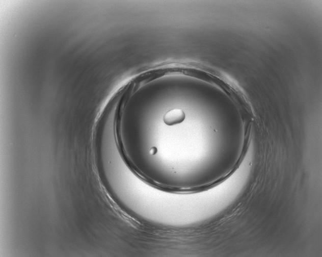 X0000061731368200512050922