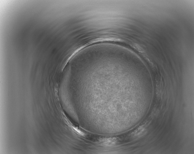 X0000061731369200512050922