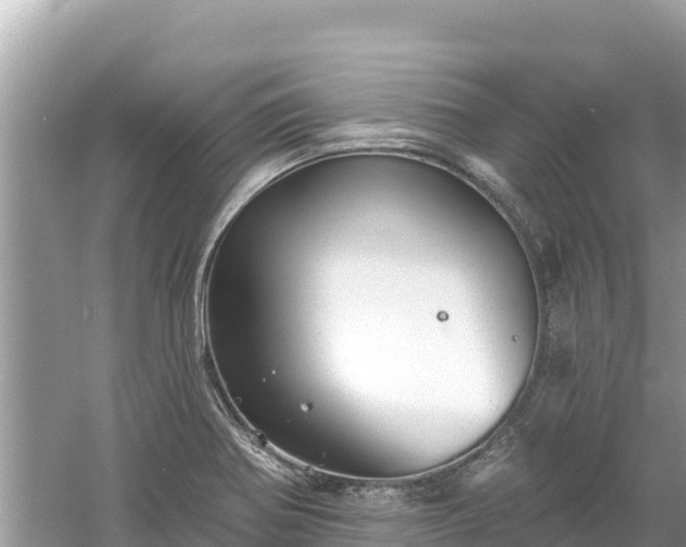 X0000061731370200512050922