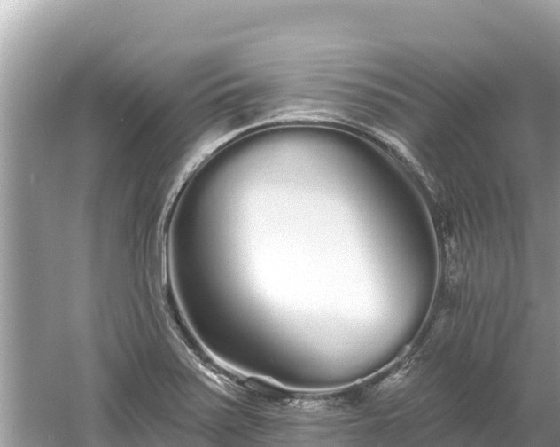 X0000061731371200512050922