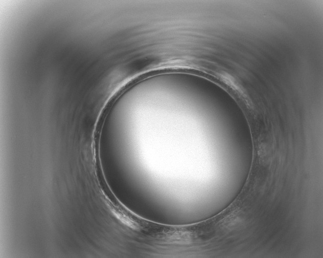 X0000061731372200512050922