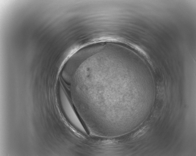 X0000061731373200512050922