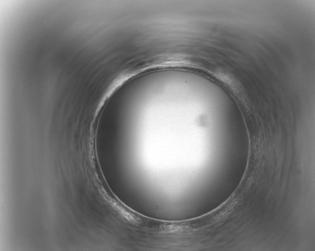 X0000061731374200512050922