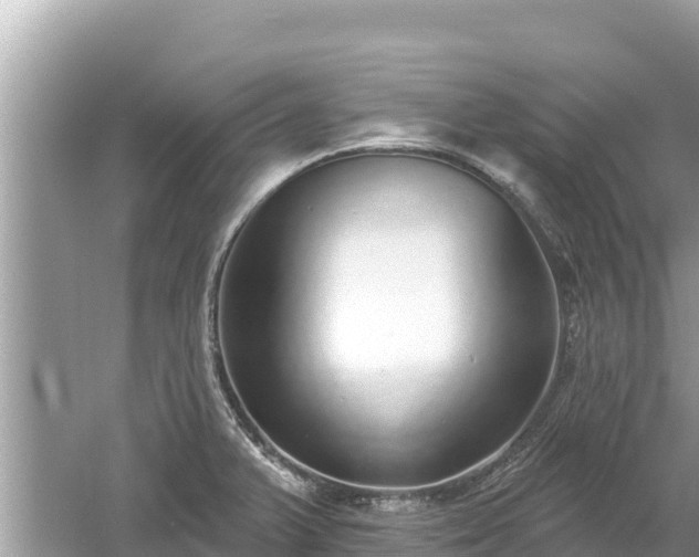 X0000061731375200512050922