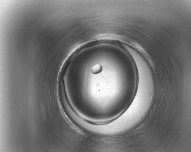 X0000061731376200512050922