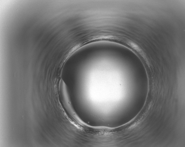 X0000061731377200512050922