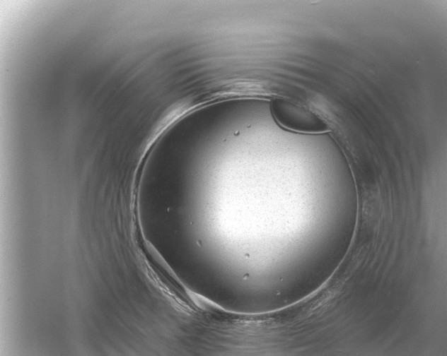 X0000061731378200512050922