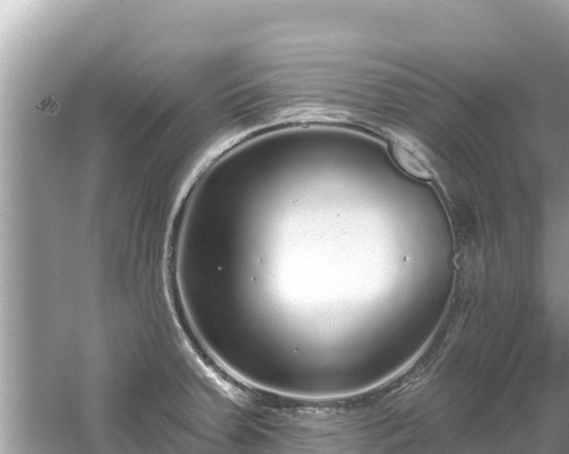 X0000061731379200512050922