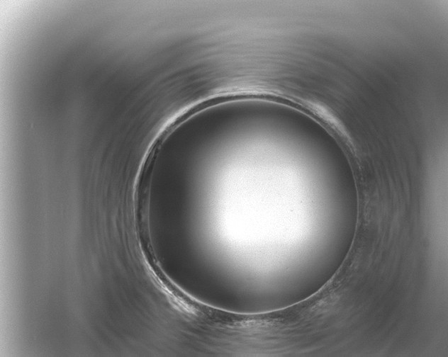 X0000061731380200512050922