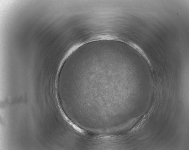 X0000061731381200512050922