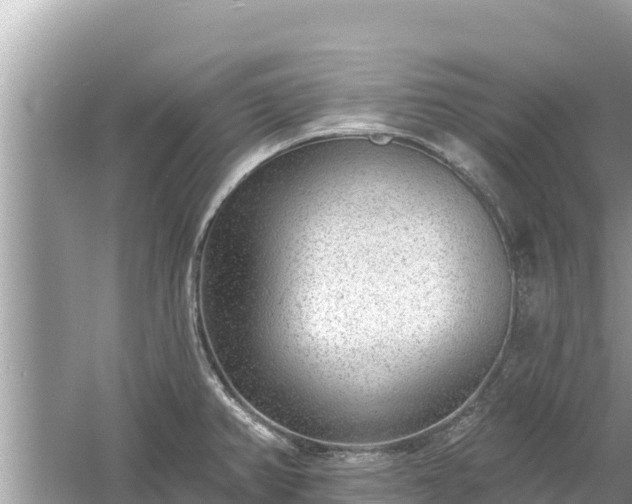 X0000061731382200512050922